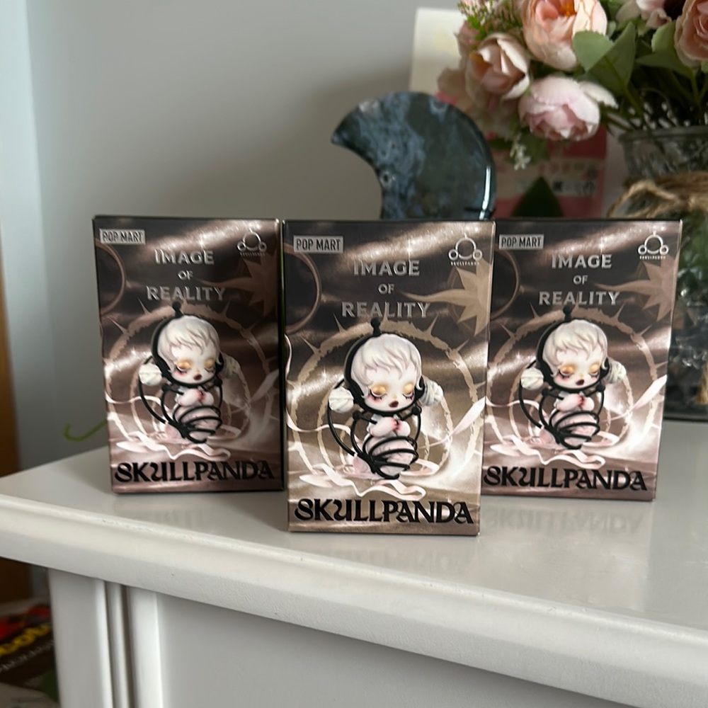 BLIND IMAGE OF REALITY SKULLPANDA 3 BOXES!